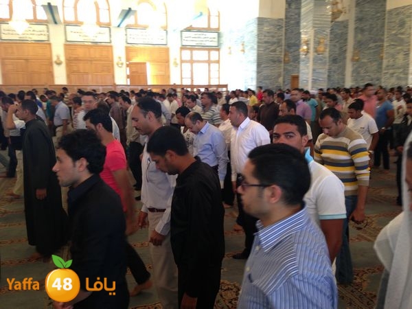 sharmelskhe7 (37).JPG